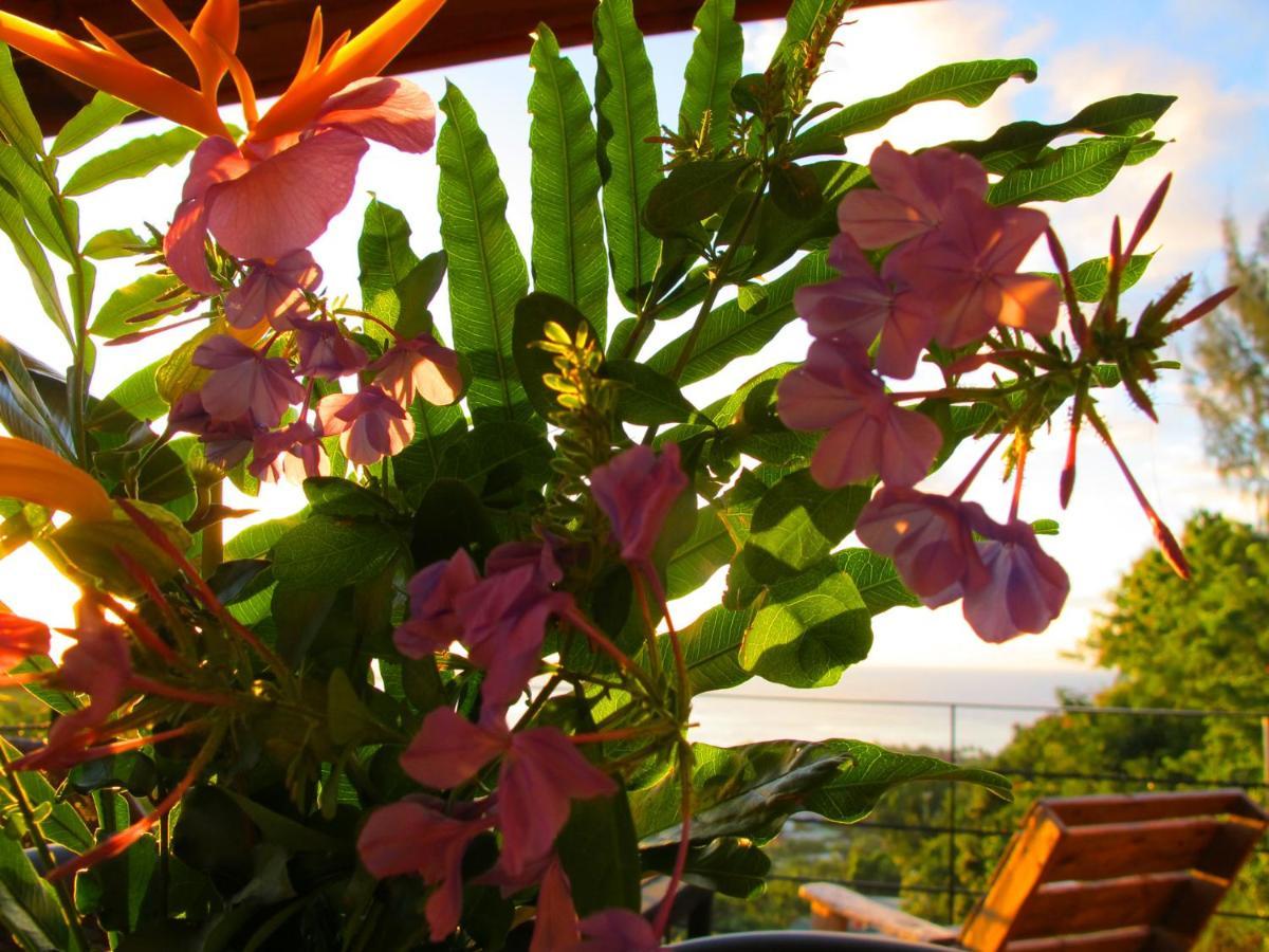 Arue  Bounty Lodge Tahiti מראה חיצוני תמונה